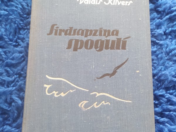 Sirdsapziņa spogulī