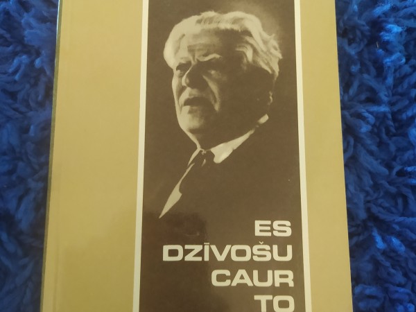 Es dzīvošu caur to labo