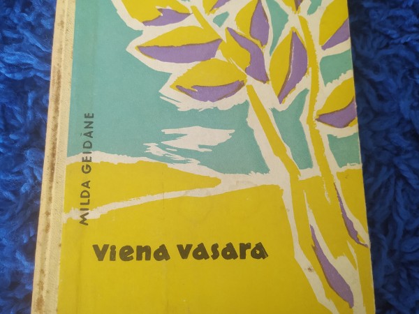 Viena vasara