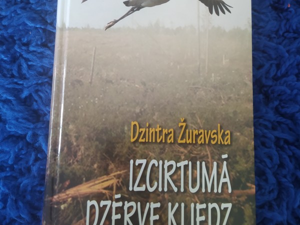 Izcietumā dzērve kliedz