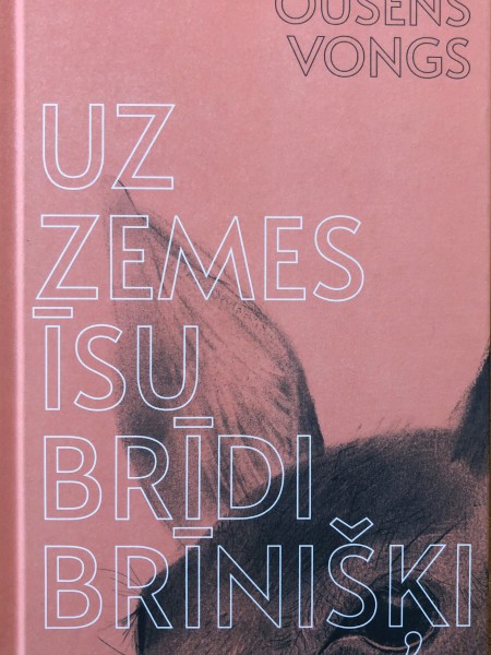 uz zemes īsu brīdi brīnišķi