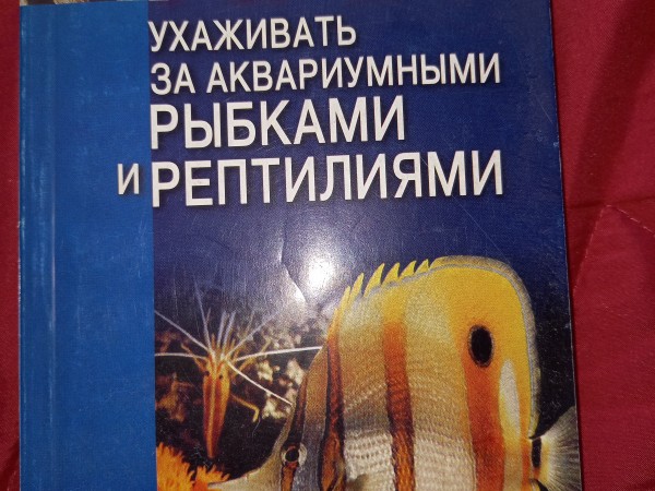 Как ухаживать за аквариумнымными рыбками и рептилиями