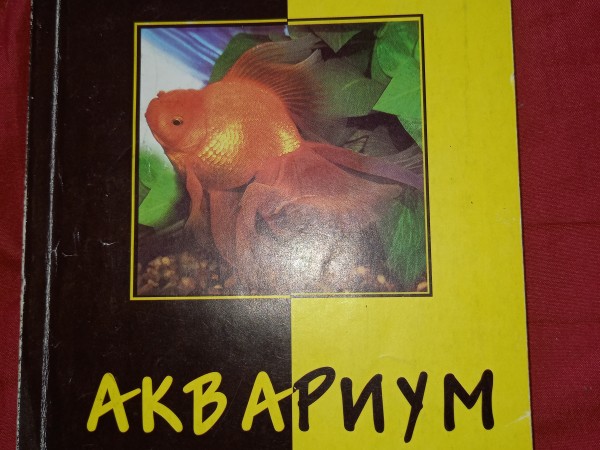 Аквариум и его обитатели в интерьере