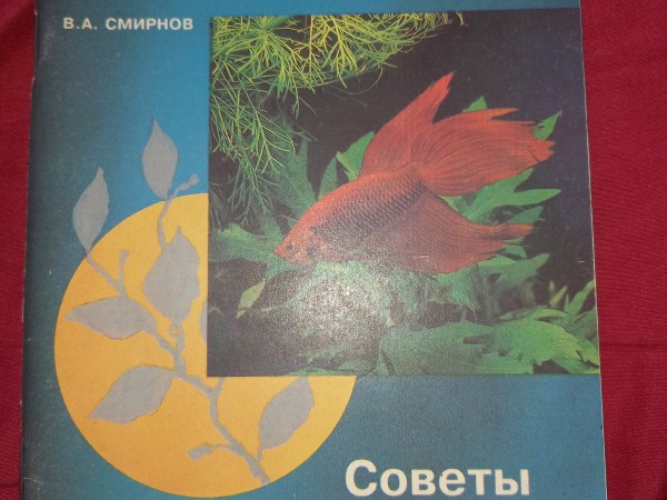 Советы начинающему аквариумисту