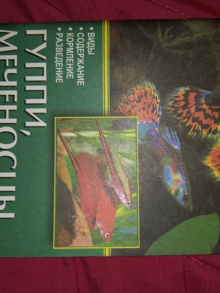 Гуппи, меченосцы и другие живородящие рыбы