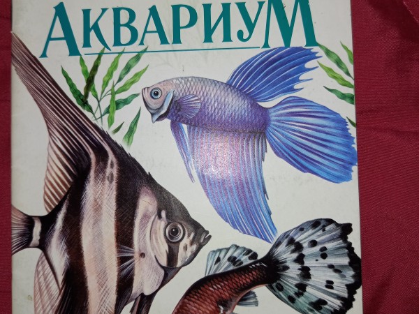 Голландский аквариум