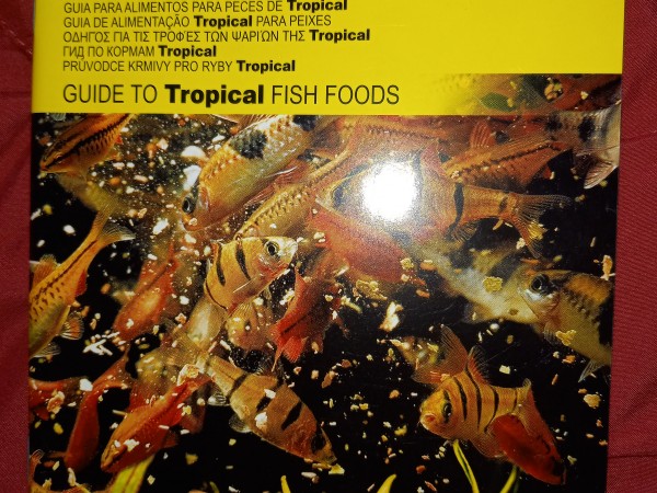 Guide to Tropical fish foods