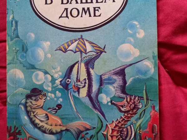 Аквариум в вашем доме