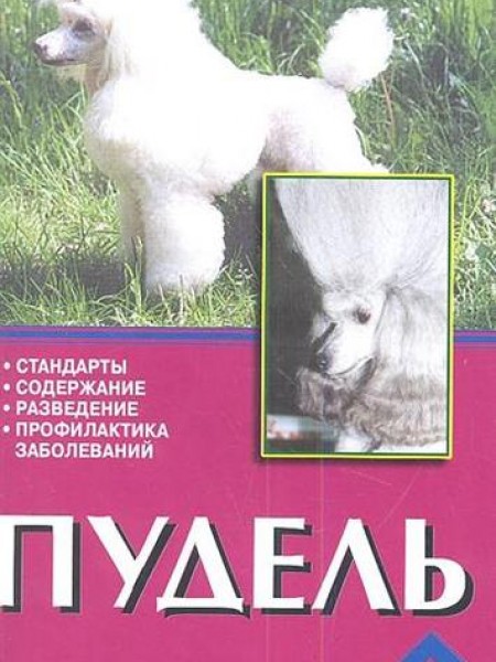 Пудель