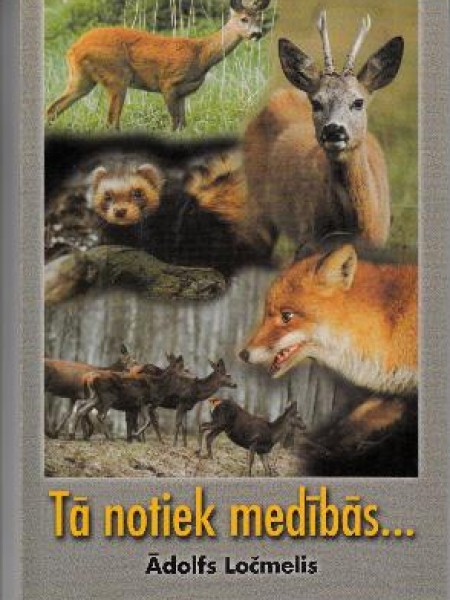 Tā notiek medībās...