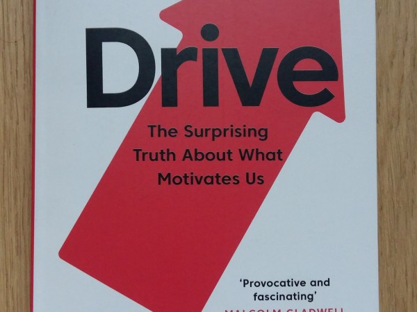 Drive The Surprising truth about what motivates us