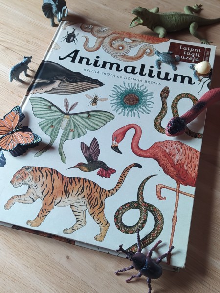 Laipni lūgti muzejā: Animalium