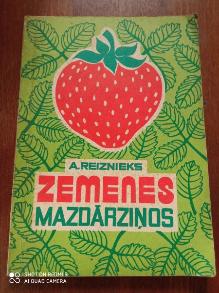 Zemenes mazdārziņos