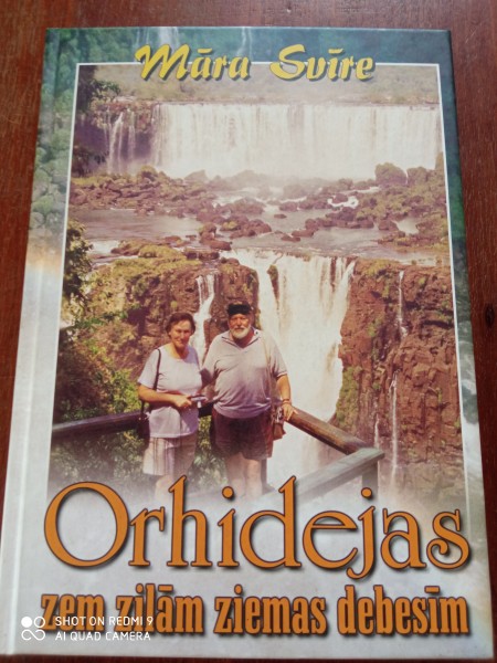 Orhidejas zem zilām ziemas debesīm