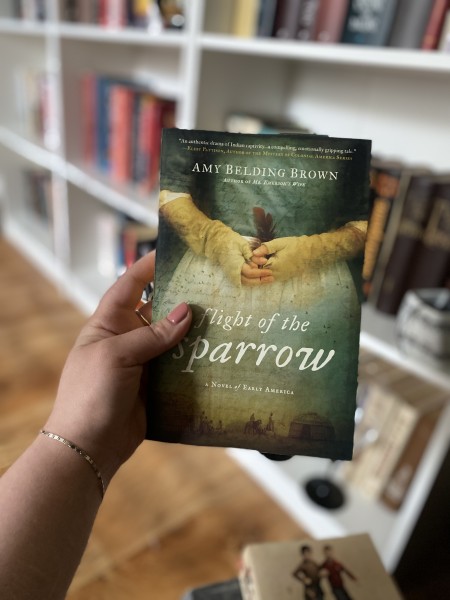 Flight of the sparrow a novel of early america