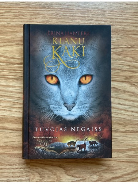 Klanu kaķi. Tuvojas negaiss