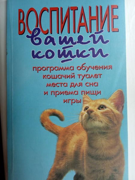Воспитание вашей кошки
