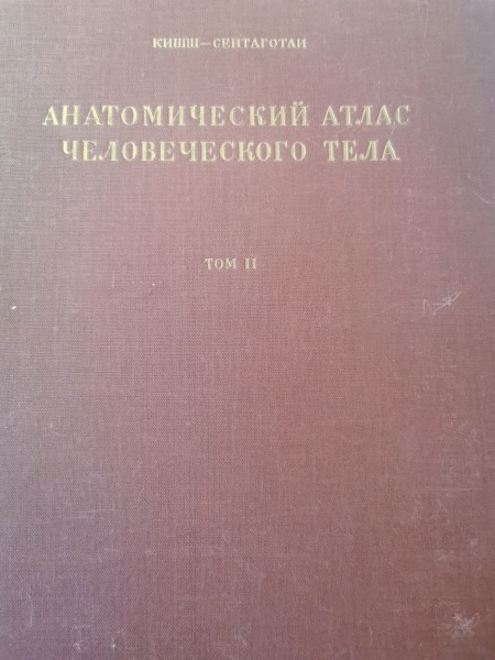 Анатомический атлас человеческого тела том2