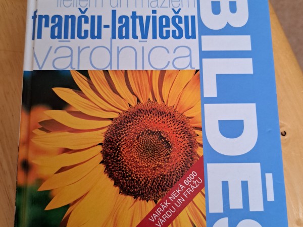 Franču valodas gramatika (pocket teacher)