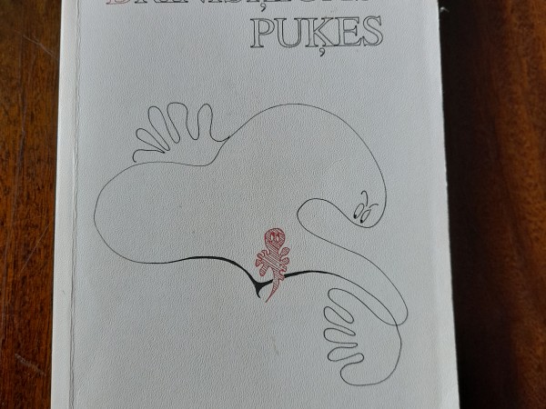 Brīnišķīgas puķes