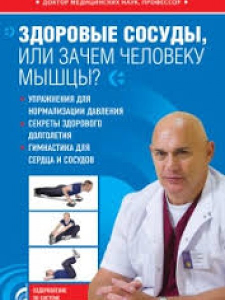 Здоровые сосуды, или Зачем человеку мышцы?