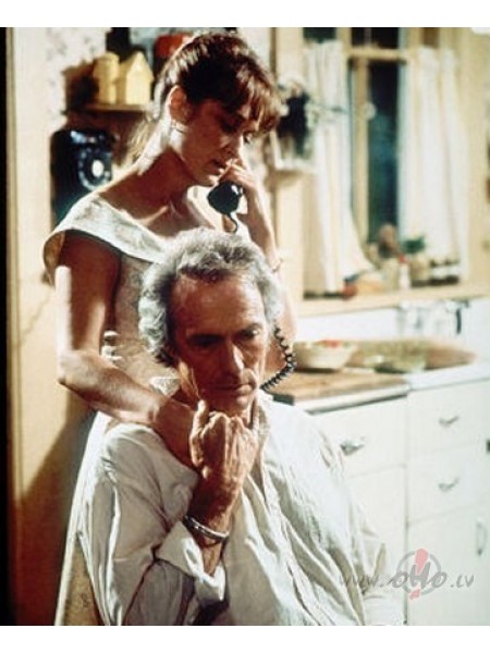 Madisonas apgabala tilti