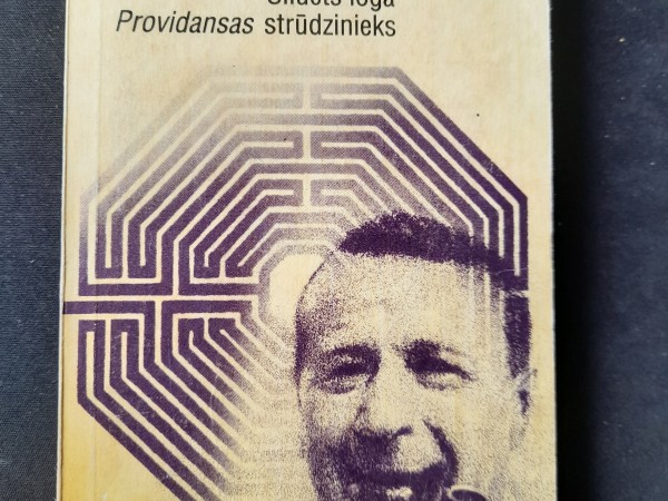 Siluets logā. Providansas strūdzinieks