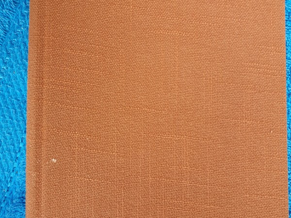 Dvēseļu raudzītājs