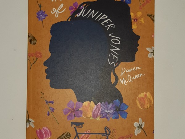 the invincible summer of juniper jones