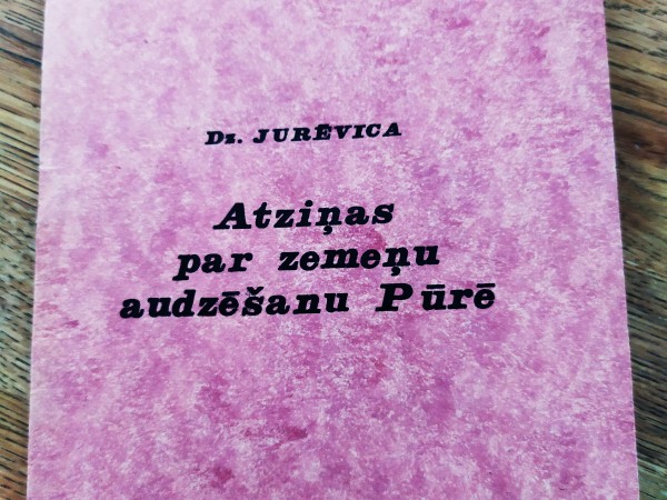 Atziņas par zemeņu audzēšanu Pūrē