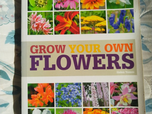 Grow your own Flowers