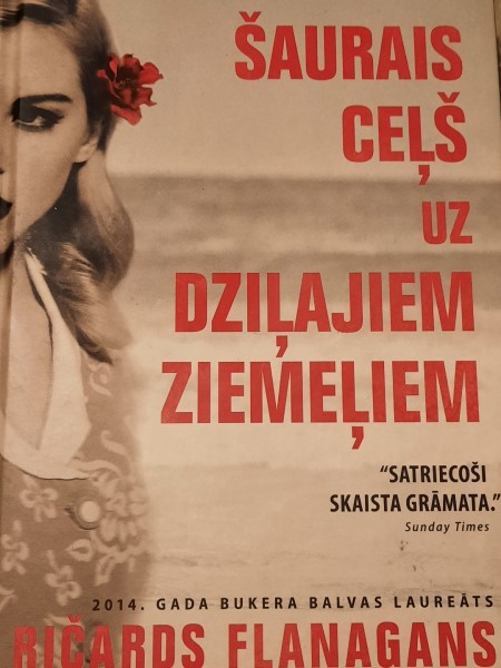 Saurais cels uz ziemeliem