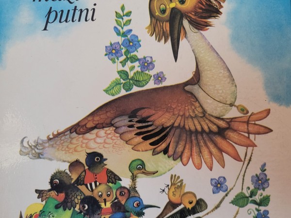 Diži putni, mazi putni