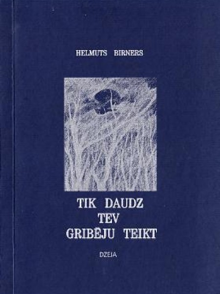 Tik daudz tev gribēju teikt