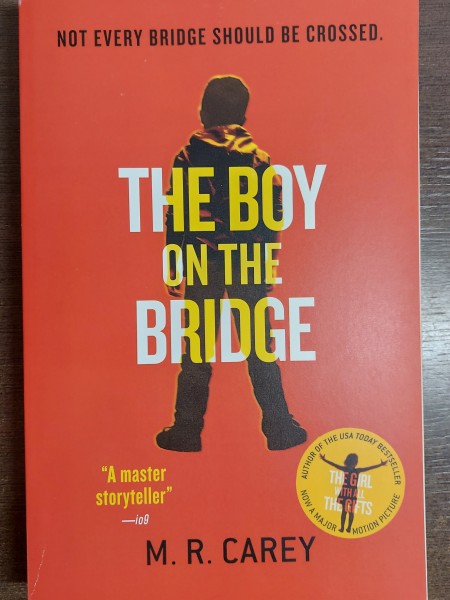 The Boy on the Bridge