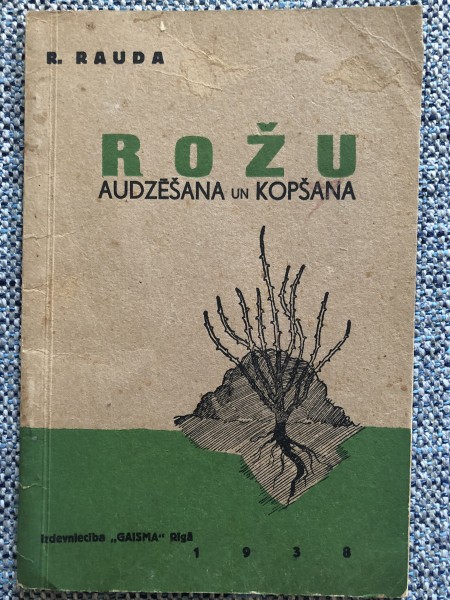 Rožu audzēšana un kopšana