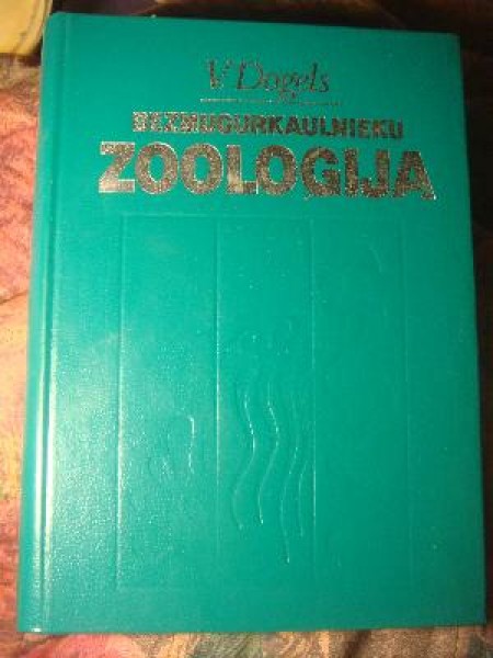 Bezmugurkaulnieku Zooloģija