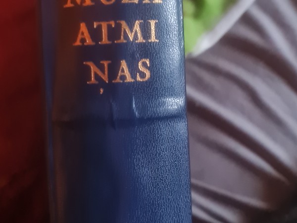 Mana mūža atmiņas