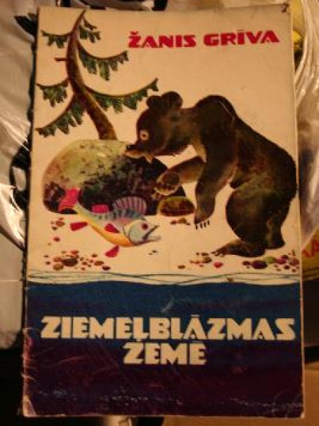 Ziemeļblāzmas zemē