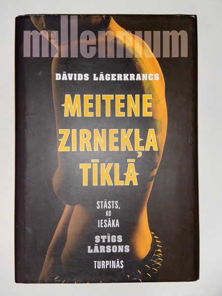 Meitene zirnekļa  tīklā