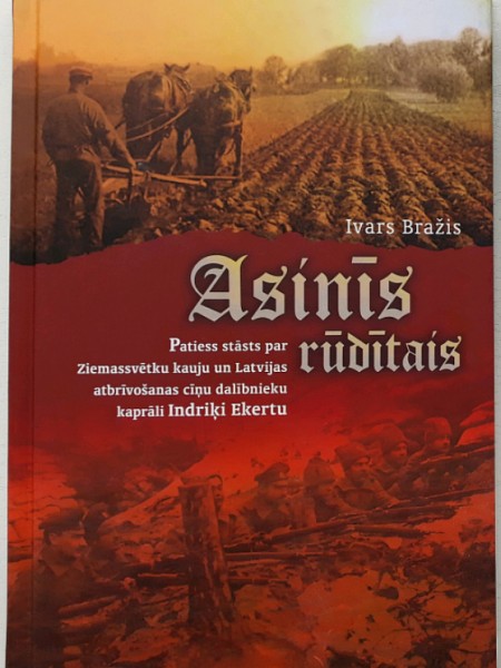 Asinīs rūdītais