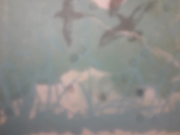 Makšķerēšana un spiningošana