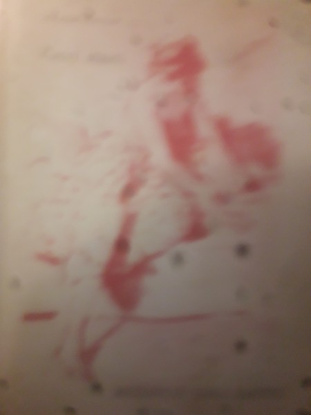 Mežābeles koka kastīte. Četri stāsti