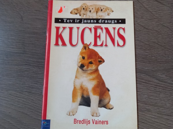 Kucēns