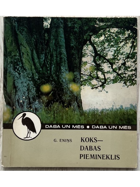 Koks - dabas piemineklis