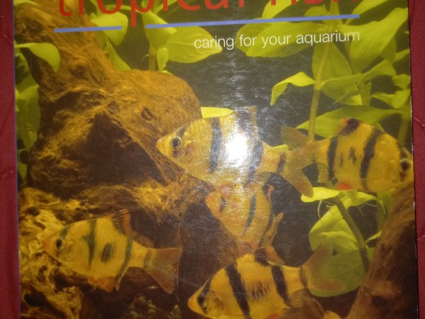 The hanbook of tropical fish