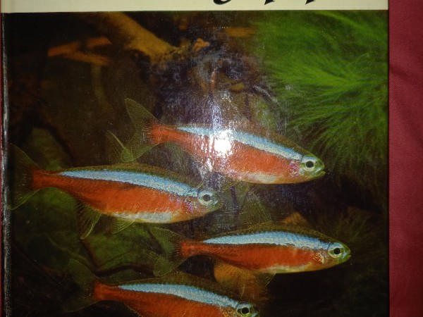 Aquarienpraxis kurzgefasst