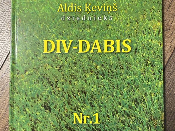 DIV-DABIS