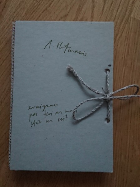 zvaigznes par tevi un mani stāv un krīt