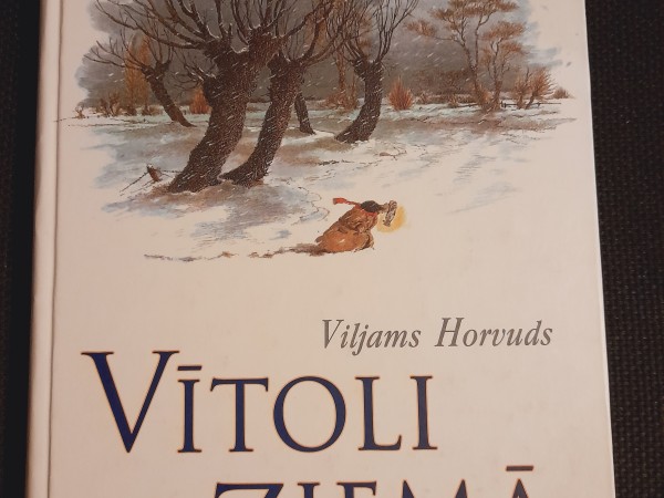 Vītoli ziemā